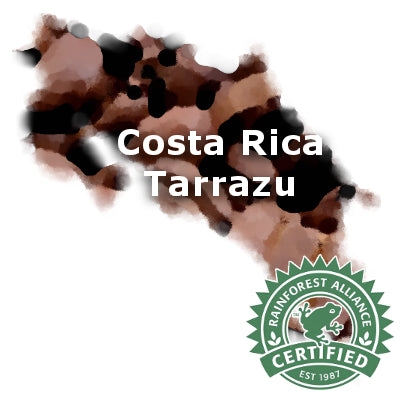 Costa Rican Tarrazu Rainforest Alliance 16 oz