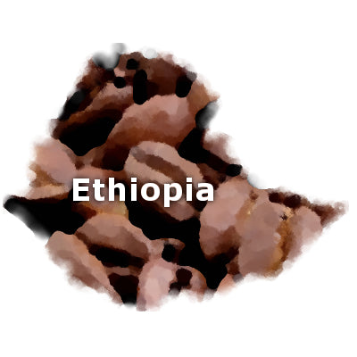 Ethiopian Sidamo 16 oz