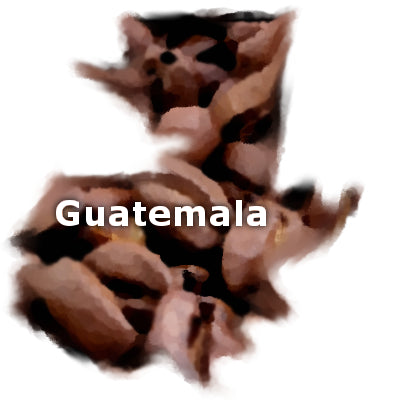 Guatemalan Antigua 16 oz