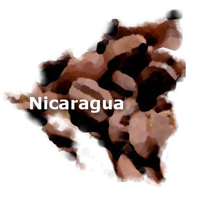Nicaragua 16 oz