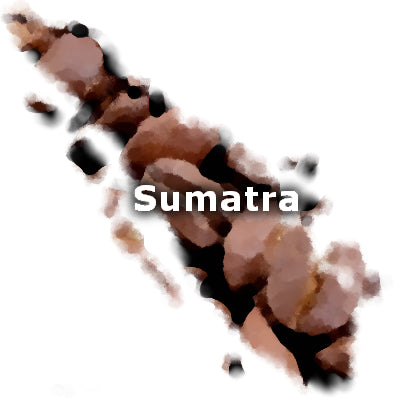 Sumatra Mandheling 16 oz