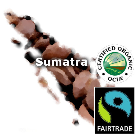 Sumatra Fair Trade Organic 16 oz